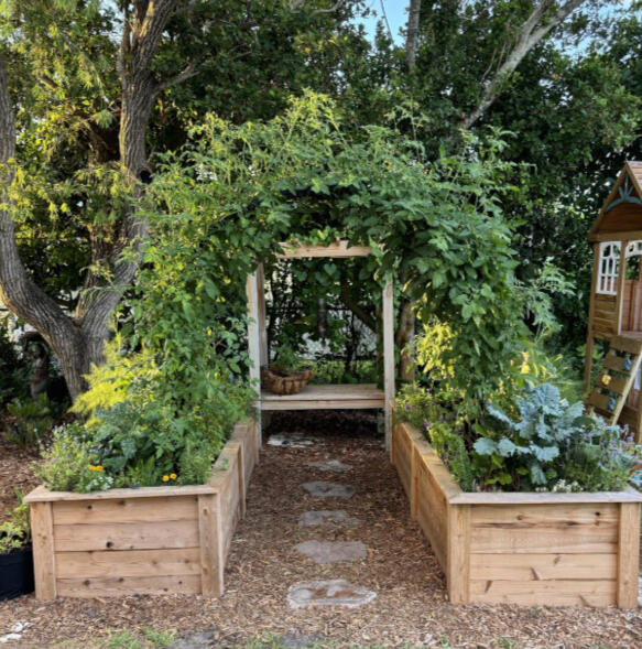 Kitchen Garden Bed Sarasota