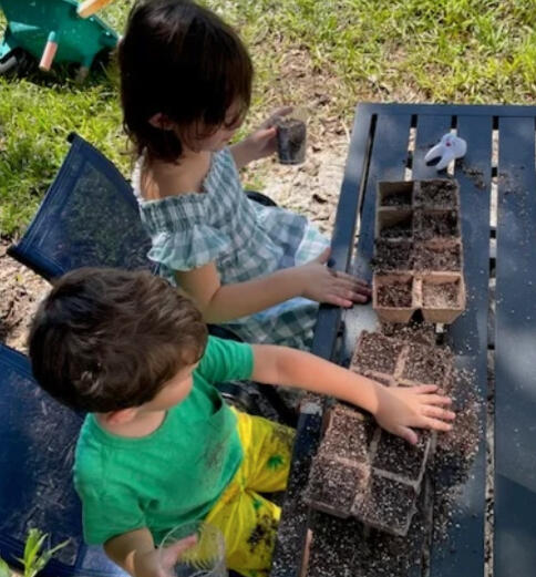 Kitchen Garden Bed Sarasota