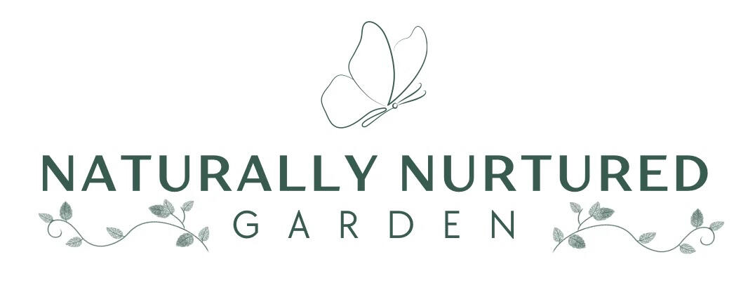 Kitchen Garden Bed Sarasota